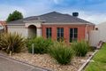 Property photo of 6 Sundew Drive Langwarrin VIC 3910