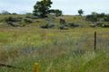 Property photo of 25 O'Brien Avenue Berridale NSW 2628