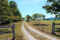 Property photo of 104 Windsor View Road Julatten QLD 4871