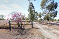 Property photo of 40872 Burnett Highway Biloela QLD 4715