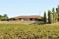 Property photo of LOT 1 Seppeltsfield Road Nuriootpa SA 5355