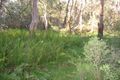 Property photo of 379 Pheasants Nest Road Pheasants Nest NSW 2574