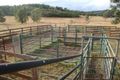 Property photo of 432 Putty Valley Road Putty NSW 2330