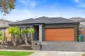 Property photo of 38 Elmtree Crescent Clyde North VIC 3978