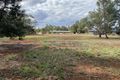 Property photo of 29-31 Logan Street Coolamon NSW 2701