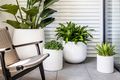 Property photo of 12/1-19 Gibbens Street Camperdown NSW 2050