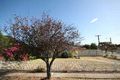 Property photo of 9 Walkley Avenue Warradale SA 5046