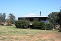 Property photo of 184 Amiens Road Gleneagle QLD 4285