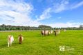 Property photo of 1108 Porongurup Road Porongurup WA 6324