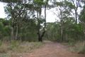 Property photo of 1477 Herbert Street Angus NSW 2765