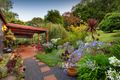 Property photo of 21 Jellicoe Avenue Monbulk VIC 3793