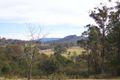 Property photo of 2329 Mount Darragh Road Wyndham NSW 2550