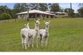 Property photo of 2562 Mount Mee Road Ocean View QLD 4521