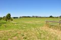 Property photo of 65 Kirip Road Glencoe SA 5291