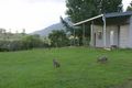 Property photo of 128 Gungas Road Nimbin NSW 2480