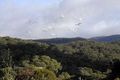 Property photo of 30 George Street Lorne VIC 3232