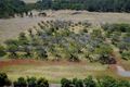 Property photo of 95 Brennan Road Hampton QLD 4352