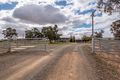 Property photo of 47 Sandhills Road Forbes NSW 2871