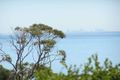 Property photo of 35 Kunyung Road Mount Eliza VIC 3930