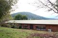 Property photo of 271 Simmonds Creek Road Tawonga South VIC 3698