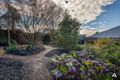 Property photo of 77 Twin Ranges Drive Warragul VIC 3820