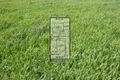 Property photo of 18 Hill Street Ringwood East VIC 3135