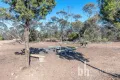 Property photo of 648 Goondooloo Road Bowhill SA 5238