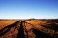 Property photo of 251 Warcons Road Cawarral QLD 4702