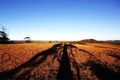 Property photo of 251 Warcons Road Cawarral QLD 4702