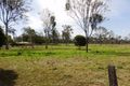 Property photo of 130 Tea Tree Avenue Mount Forbes QLD 4340