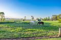 Property photo of 42 Moobi Road Scone NSW 2337