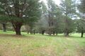 Property photo of 52 Rangeview Drive Carey Gully SA 5144
