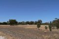 Property photo of 103 Tree Street Katanning WA 6317