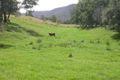 Property photo of 524 Ravensdale Road Ravensdale NSW 2259