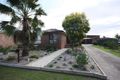 Property photo of 31 Benjamin Circuit Hunterview NSW 2330
