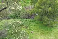 Property photo of 30 Bundaleer Drive Halls Gap VIC 3381