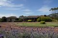 Property photo of 24 Boundary Road Mortlake VIC 3272