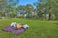 Property photo of 7 Oatlands Court Wights Mountain QLD 4520