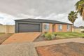 Property photo of 1 Immacolata Rise Red Cliffs VIC 3496