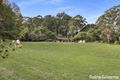 Property photo of 50 Tullouch Road Broughton Vale NSW 2535