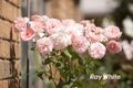 Property photo of 11 Rogan Court Langwarrin VIC 3910