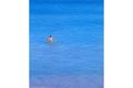 Property photo of 17 Crowther Street Beachlands WA 6530