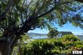Property photo of 5 Erythos Grove St Helens TAS 7216