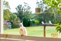 Property photo of 20 Cassidy Street Denham Court NSW 2565