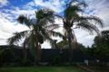 Property photo of 10 McCulum Street Stirling WA 6021