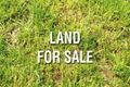 Property photo of 75 Disney Street Crib Point VIC 3919