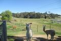 Property photo of 2 Dwyers Creek Road Moruya NSW 2537