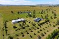 Property photo of 666 Cressbrook-Caboonbah Road Cressbrook QLD 4313