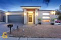 Property photo of 8 Macaulay Drive Craigieburn VIC 3064