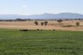 Property photo of 158 Warral-Bithramere Road Warral NSW 2340